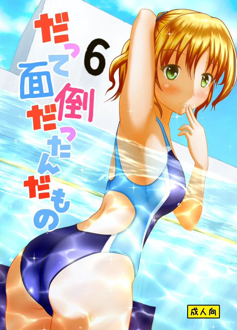 だって面倒だったんだもの