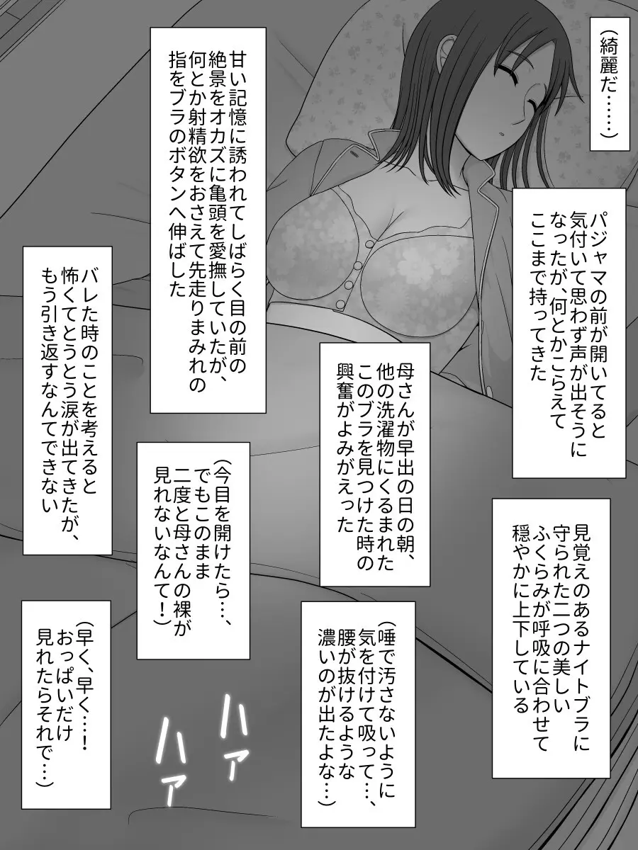 実母相姦 静 ―母に帰る日― Page.23