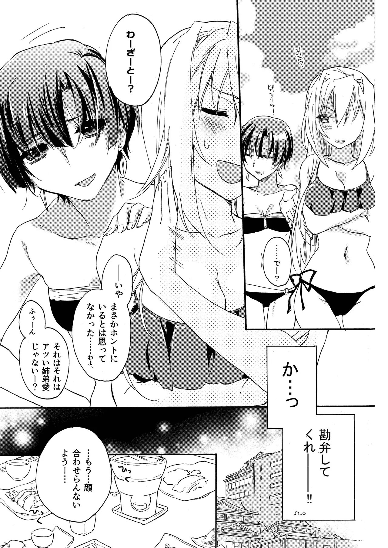 花に嵐２＋折本 Page.17