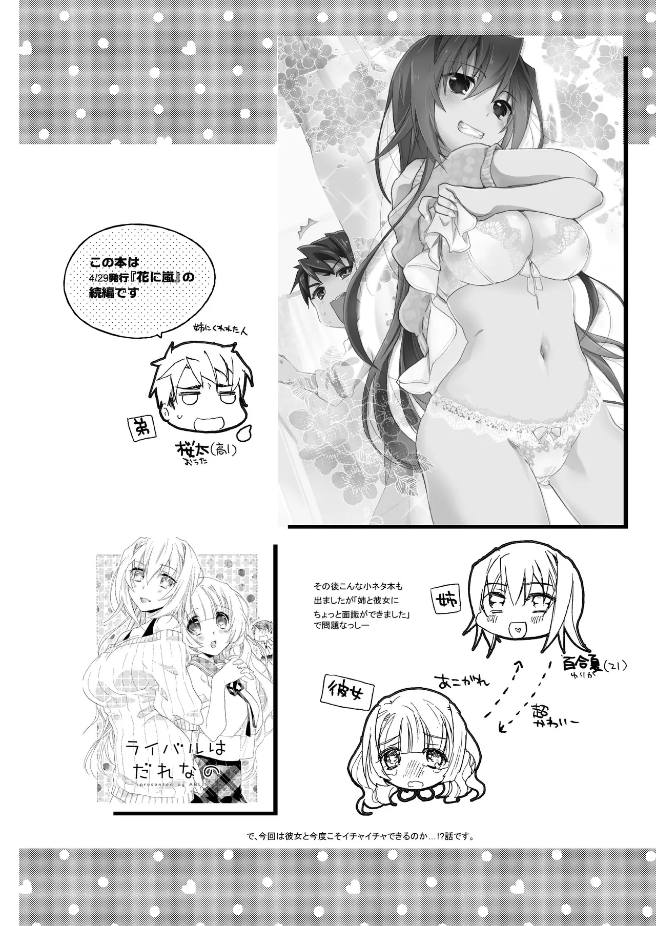 花に嵐２＋折本 Page.4