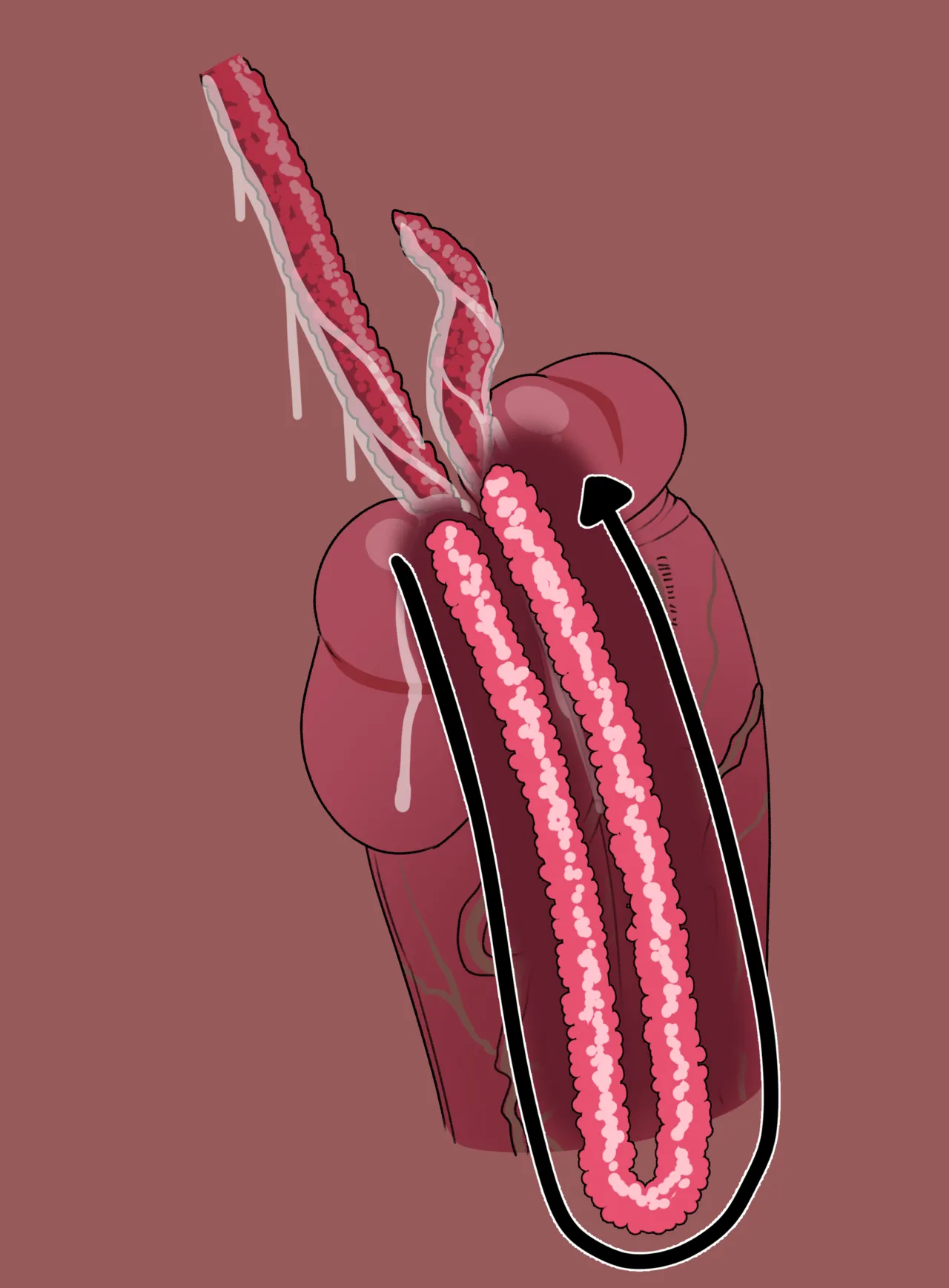 LIVI x TENTACLES Page.16