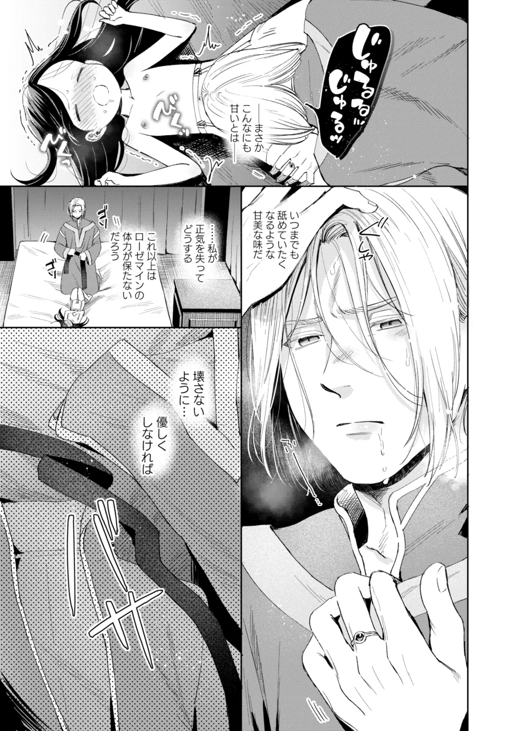 けだものどもの夢 Page.17
