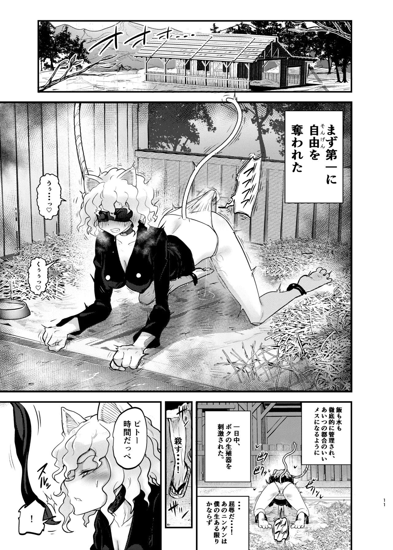 調教師 操作系なんてボク知らない！ Page.11