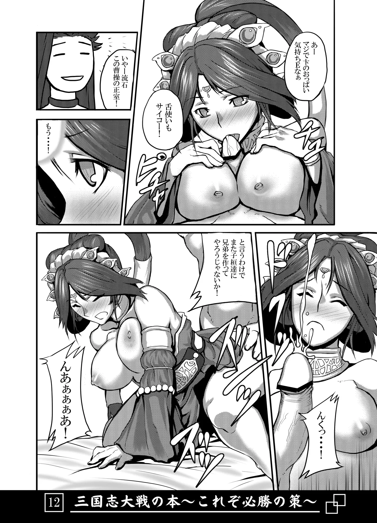 三国志大戦の本 ～これぞ必勝の策!～ Page.13