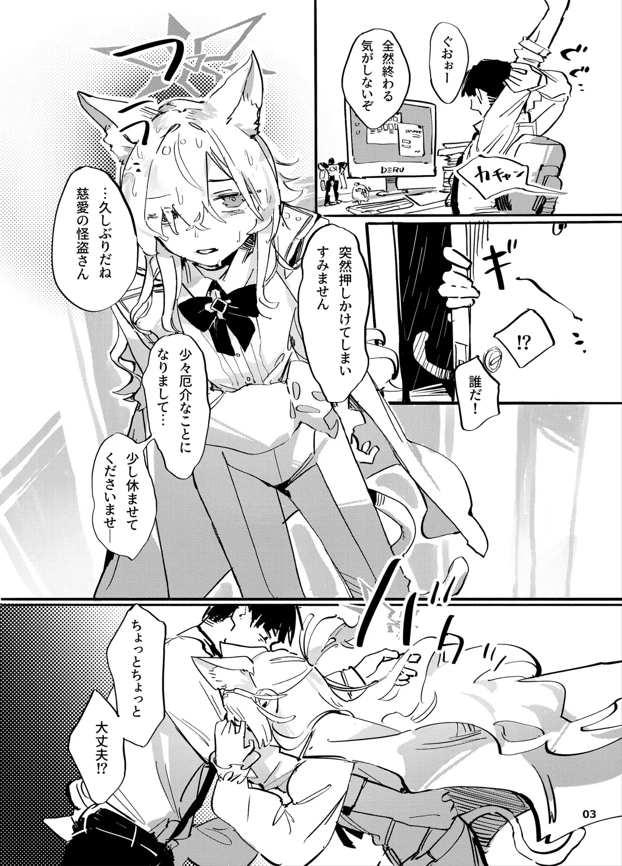 共同性犯 Page.2
