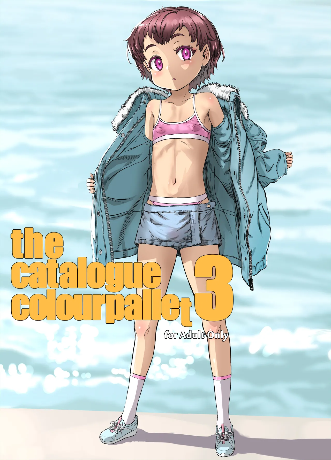 the catalogue colourpallet3