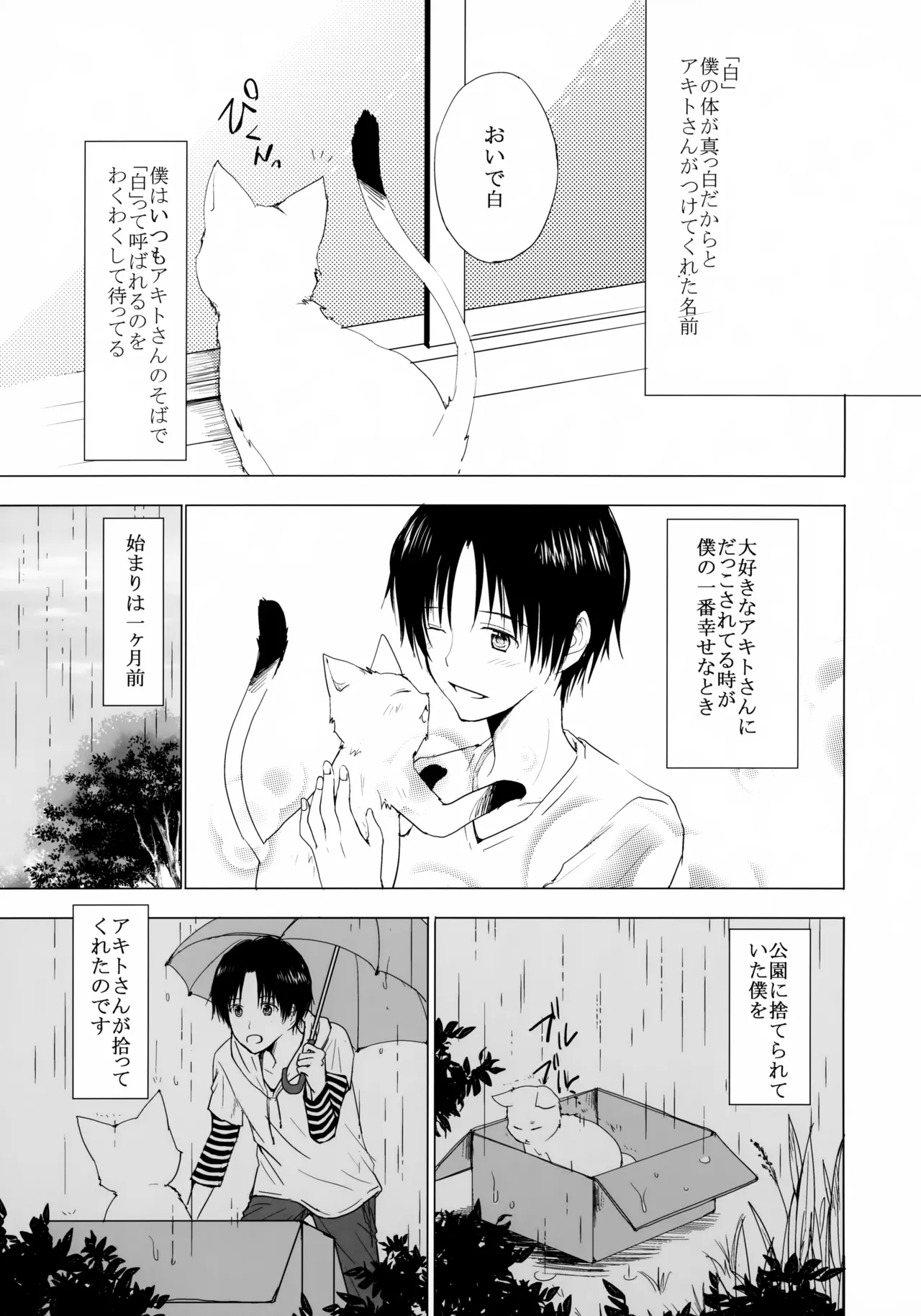 こねこびより Page.2