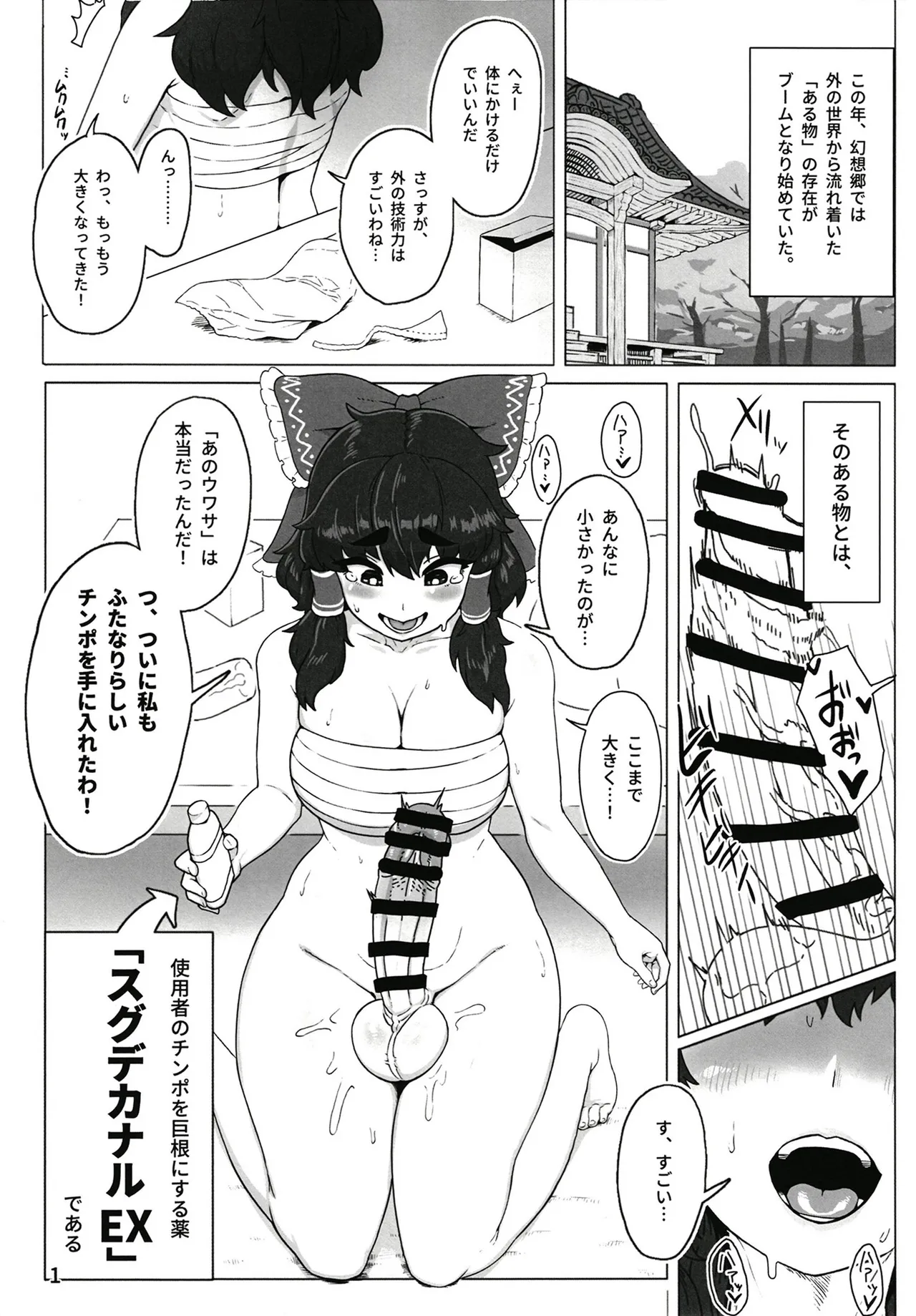 東方ふたなり事変 巫女と妖精、初めての尿道セックス Page.3