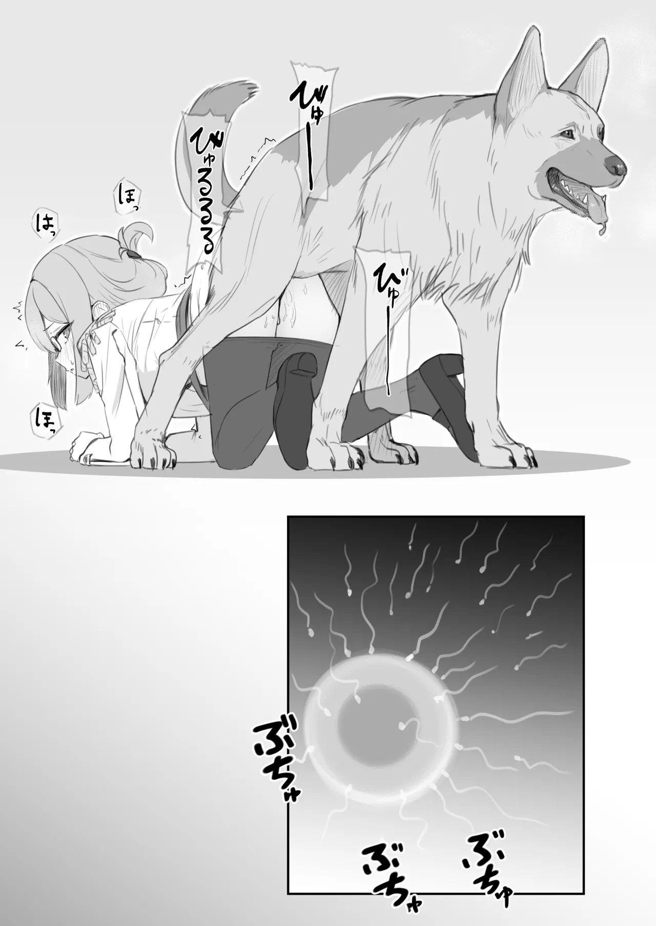 げんきなワンちゃんですね！ Page.4