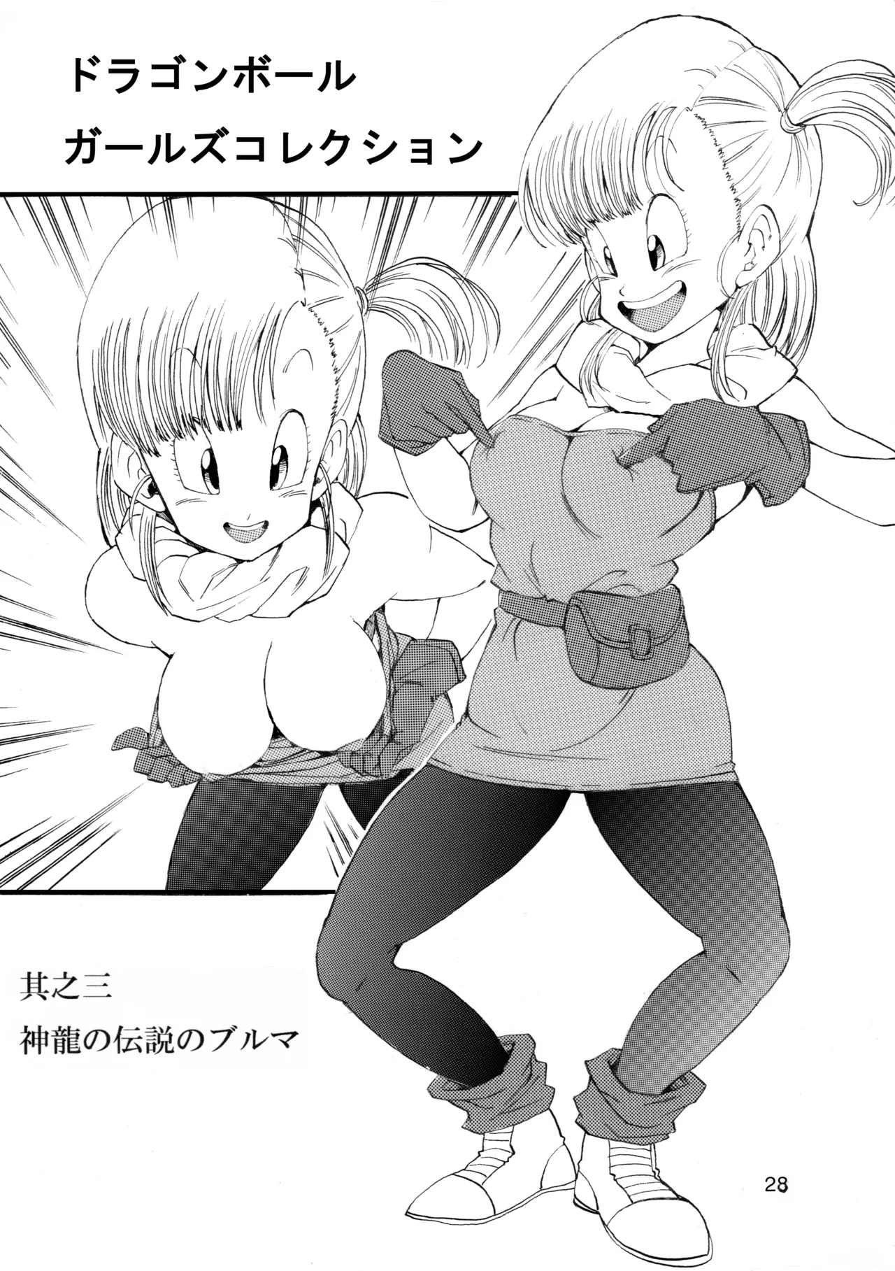 ドラゴンボールガールズコレクション1 Page.29