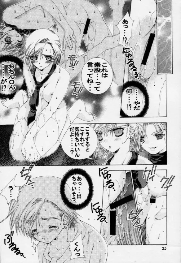 SHOCK WAVE PULSER Page.24
