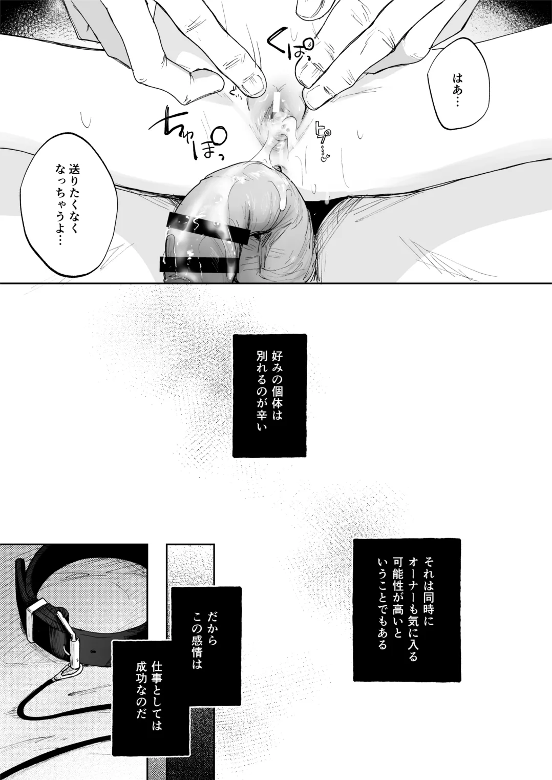 (C106) [しぷおる] 調整記録 ご主人様(あなた)の元へ届くまで [DL版] Page.27