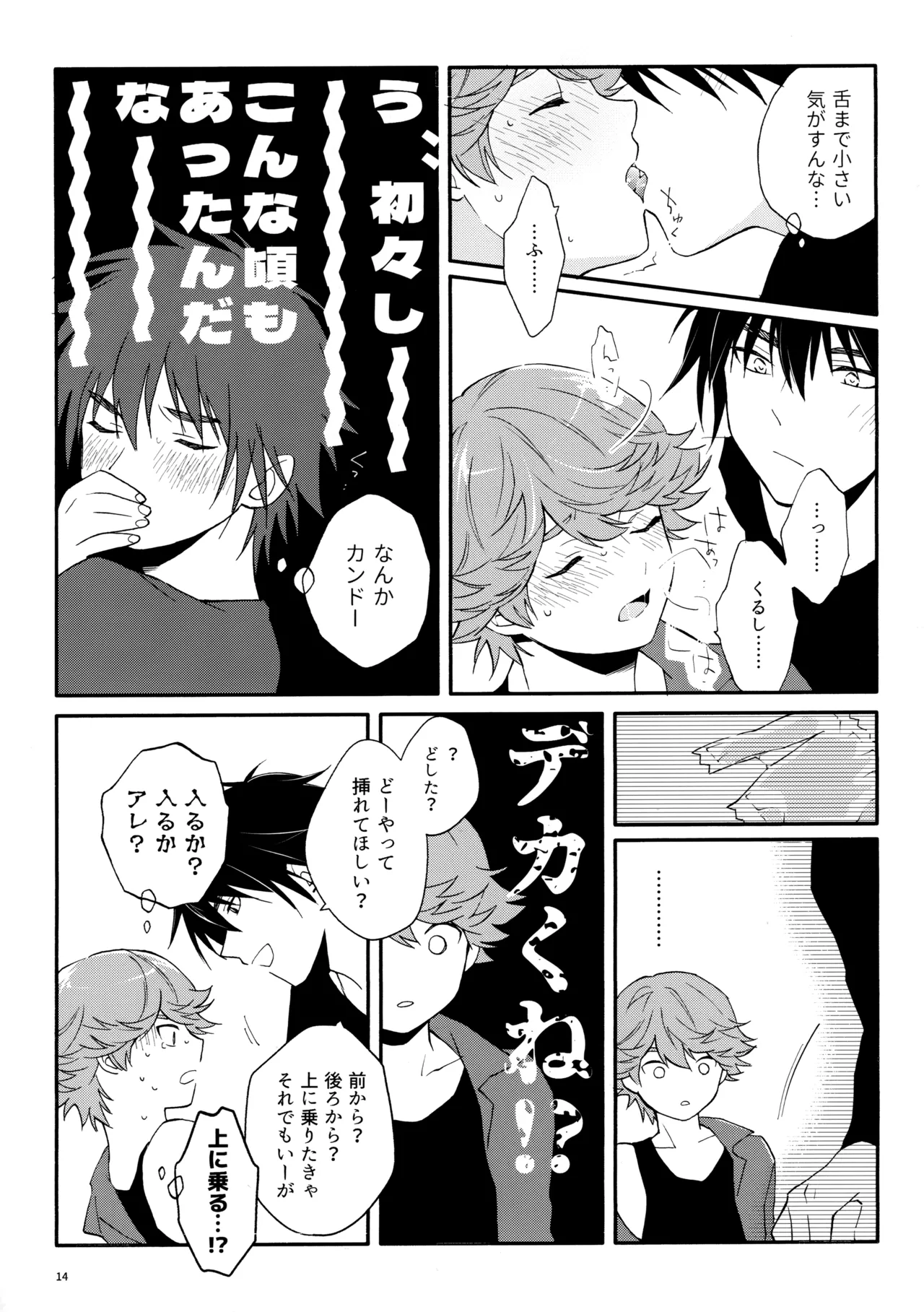 マイディアスワップ Page.13