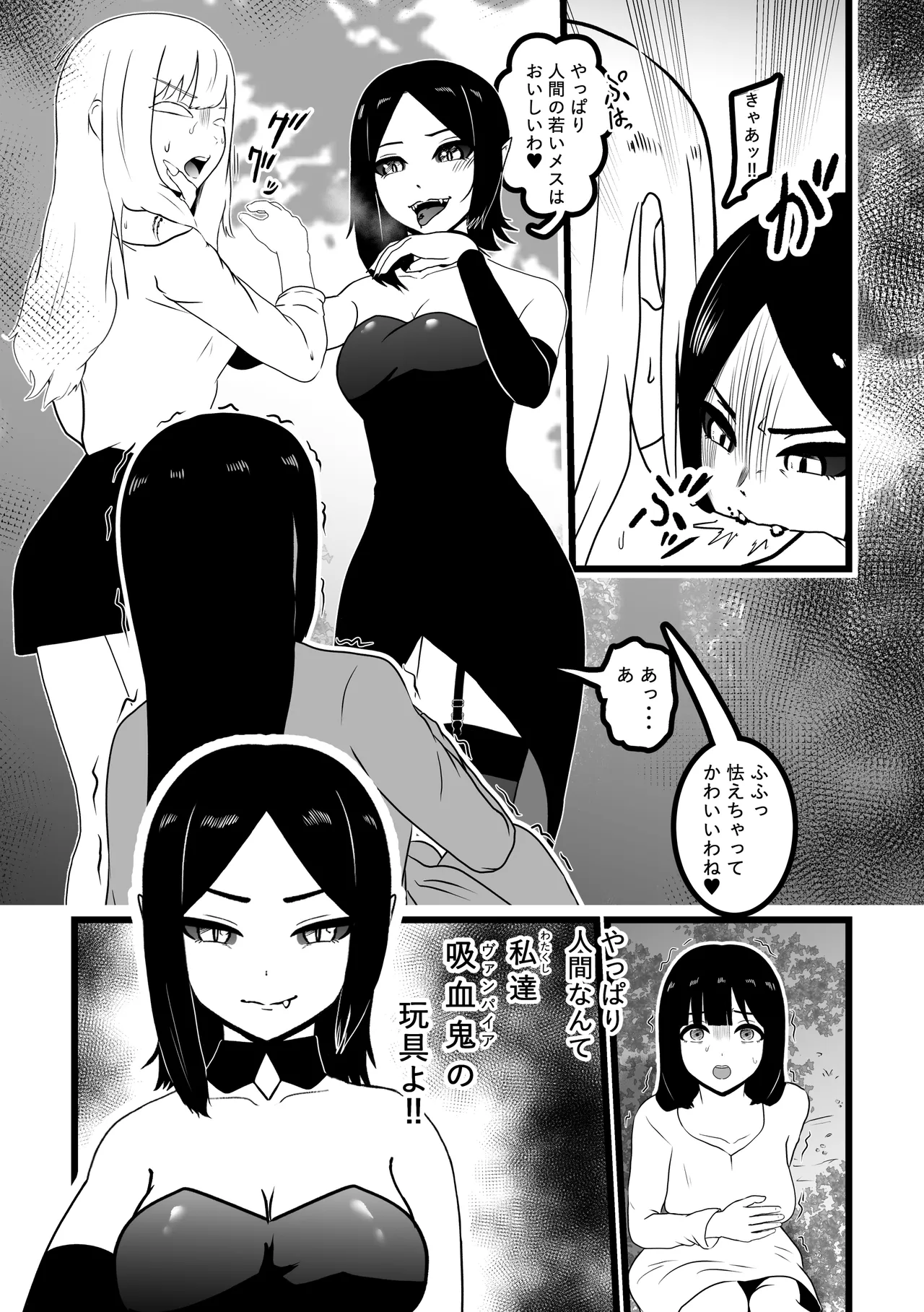 ヴァンパレイド9 〜吸血鬼 三姉妹 脱走編〜 Page.10