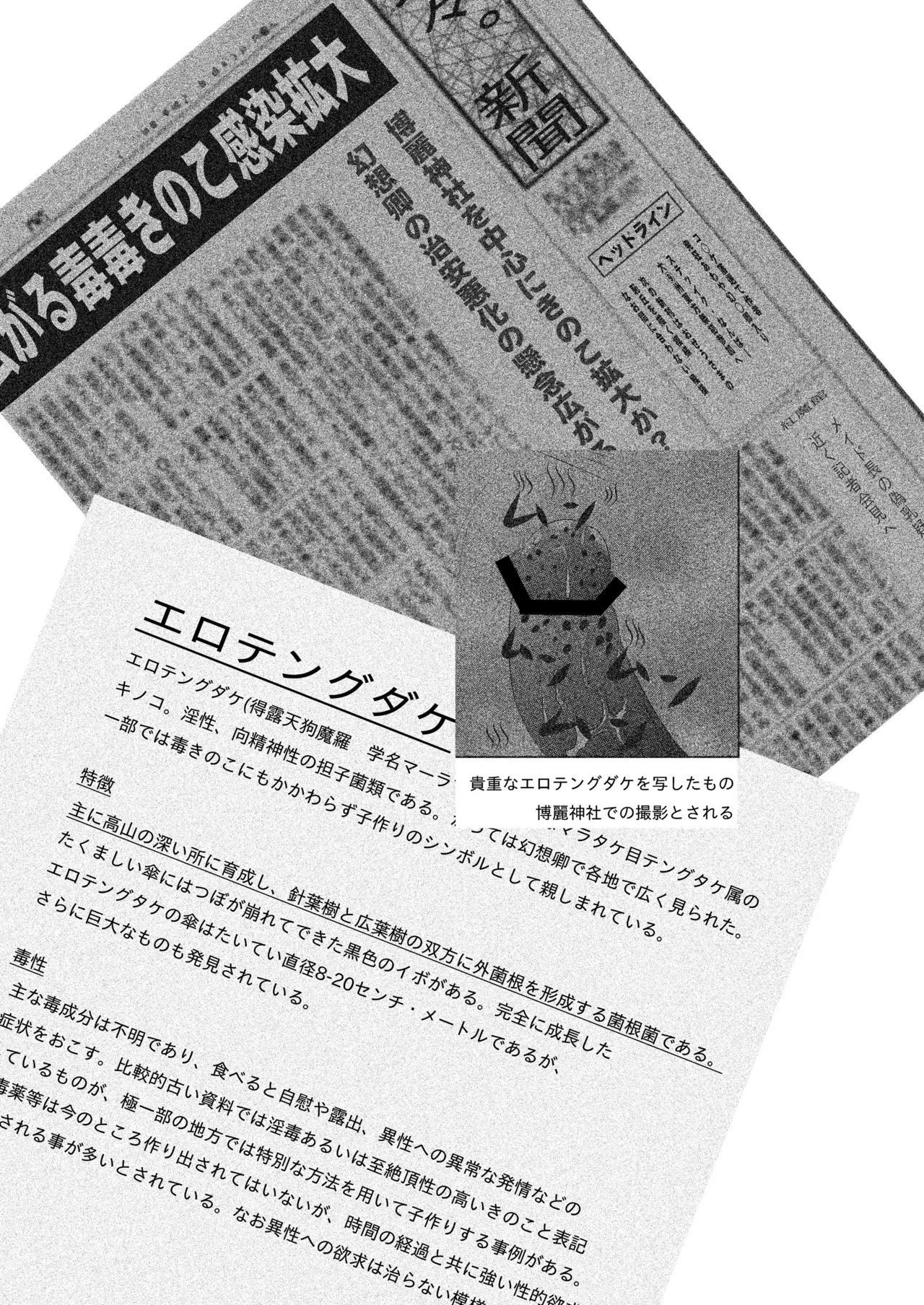 霊夢の毒毒きのこご乱心 Page.3