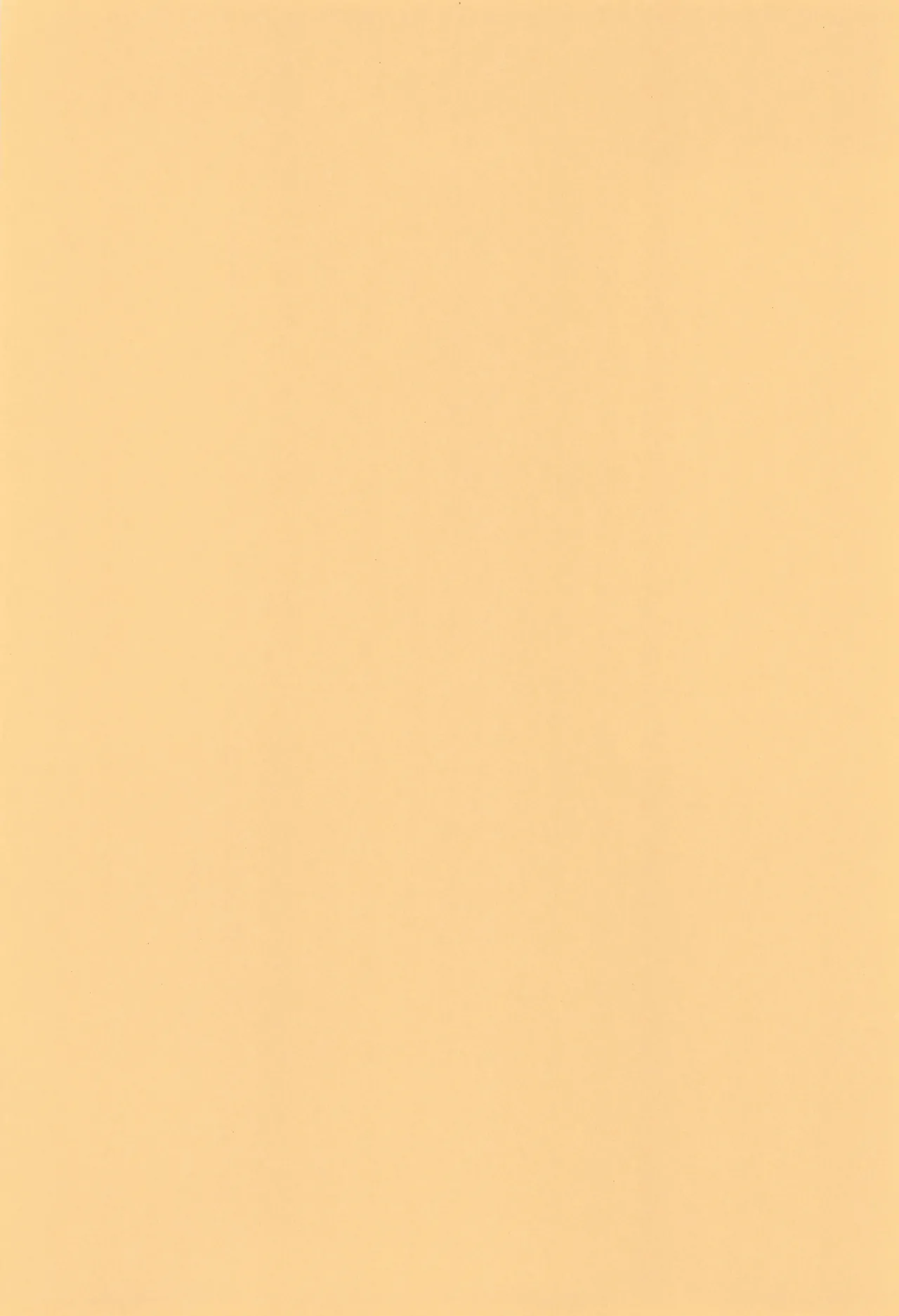ウェルカム・ホーム Page.4