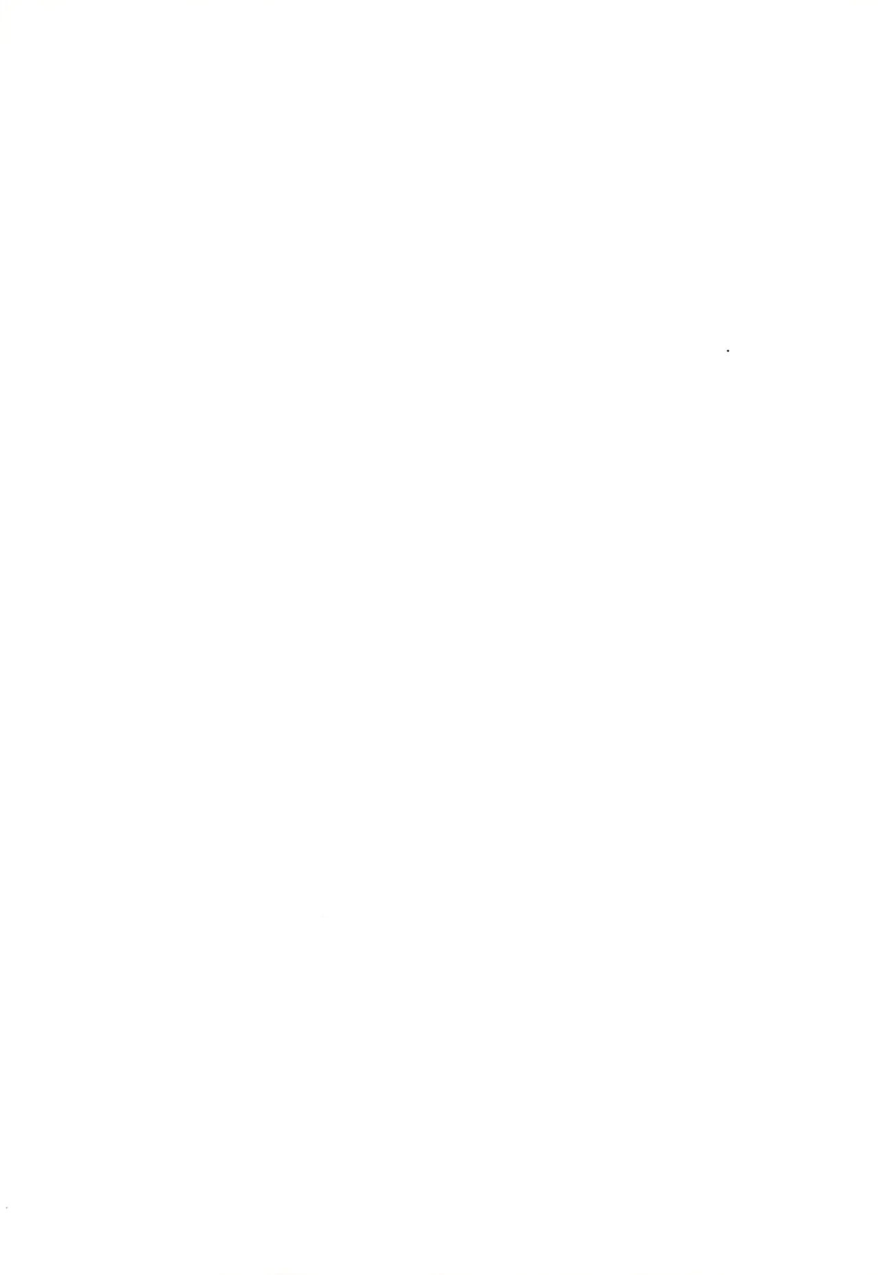 がんばれ赤ずきん Page.2