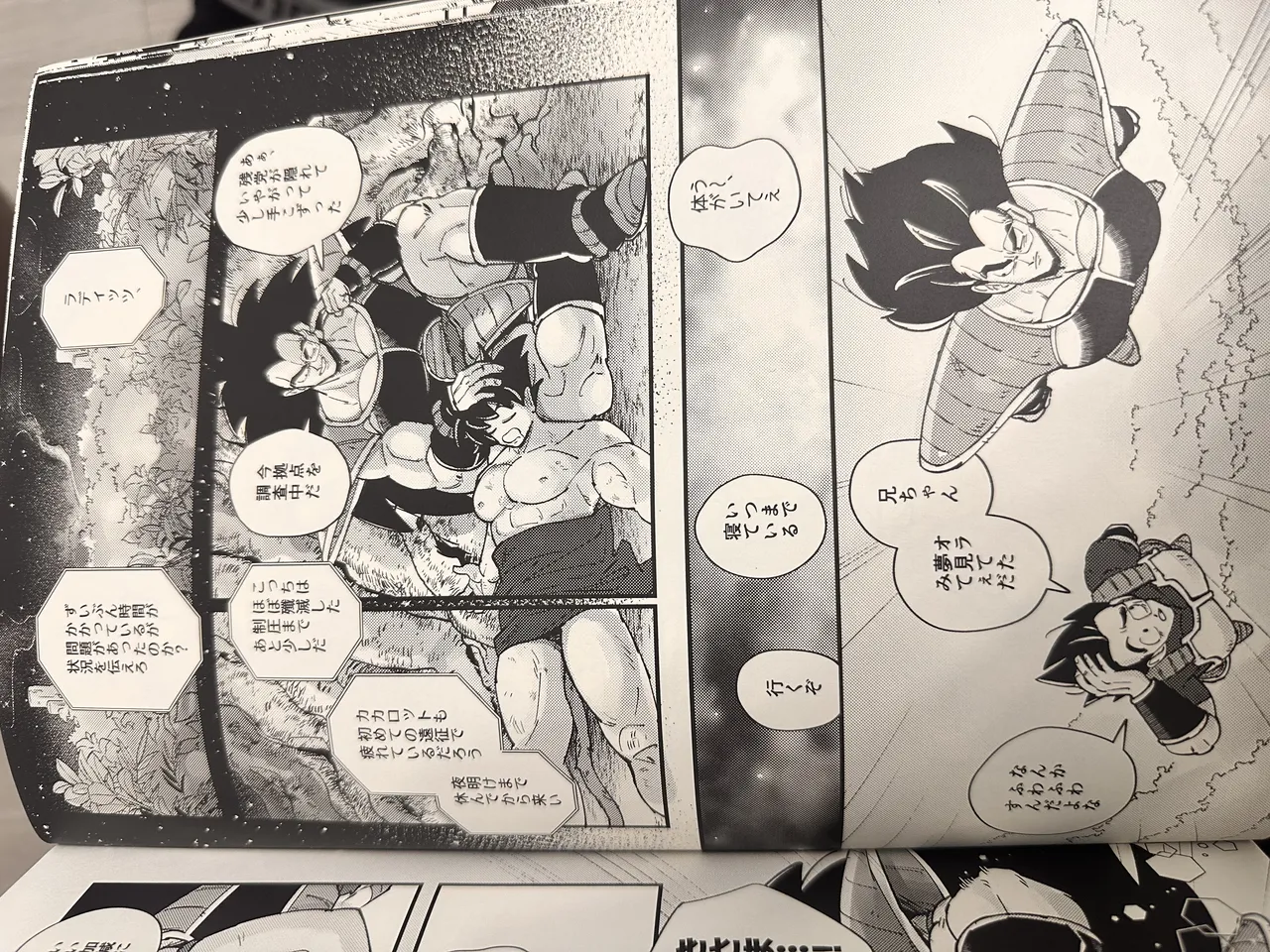 Raditz Page.2
