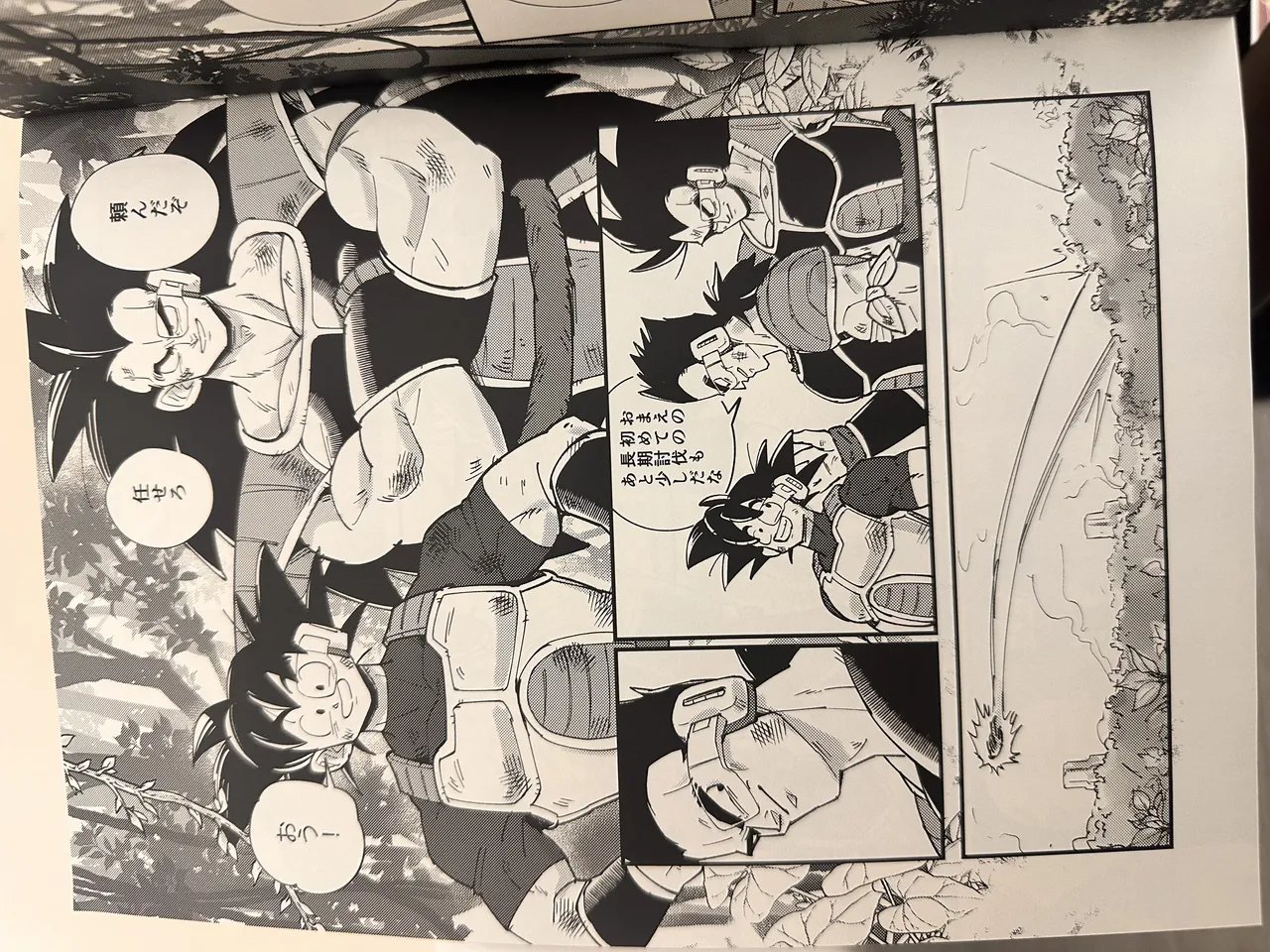 Raditz Page.25