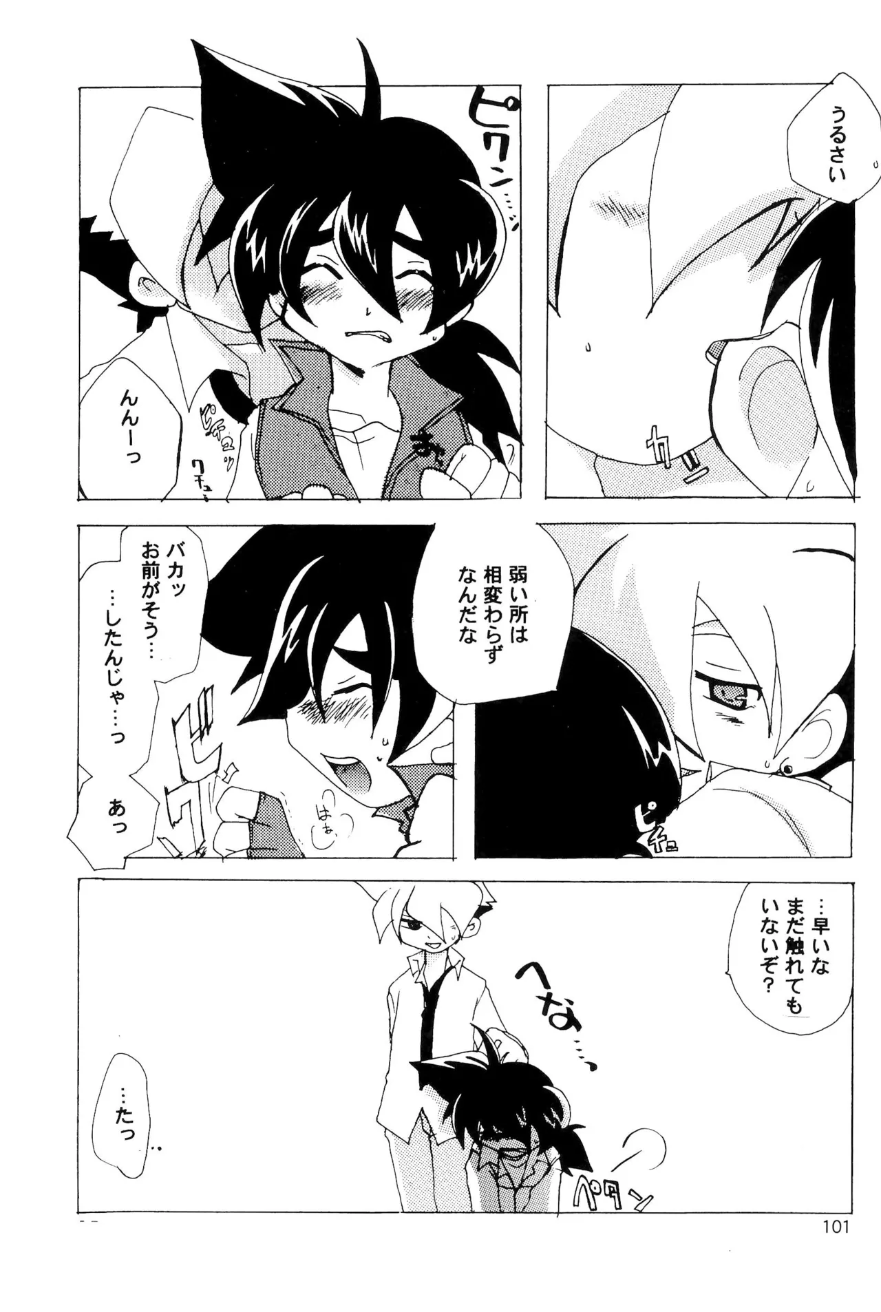 カプセルブック Page.101