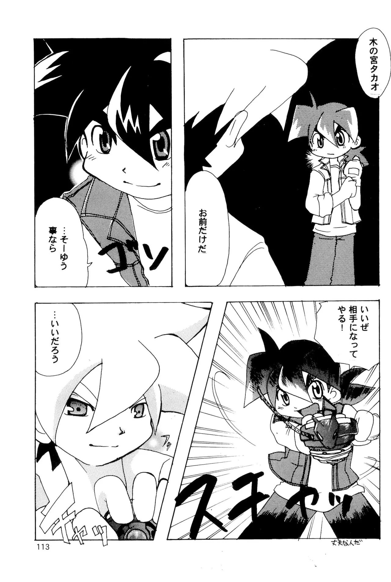 カプセルブック Page.113