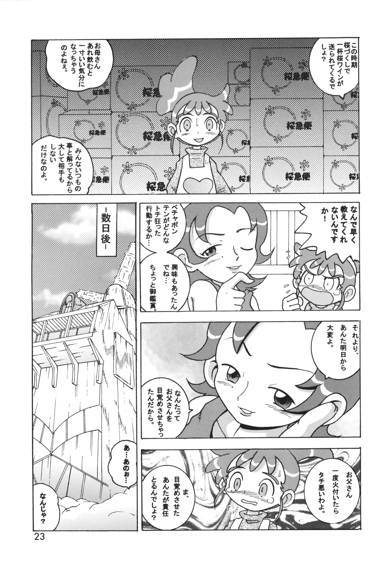 HI-PHS IX Page.22