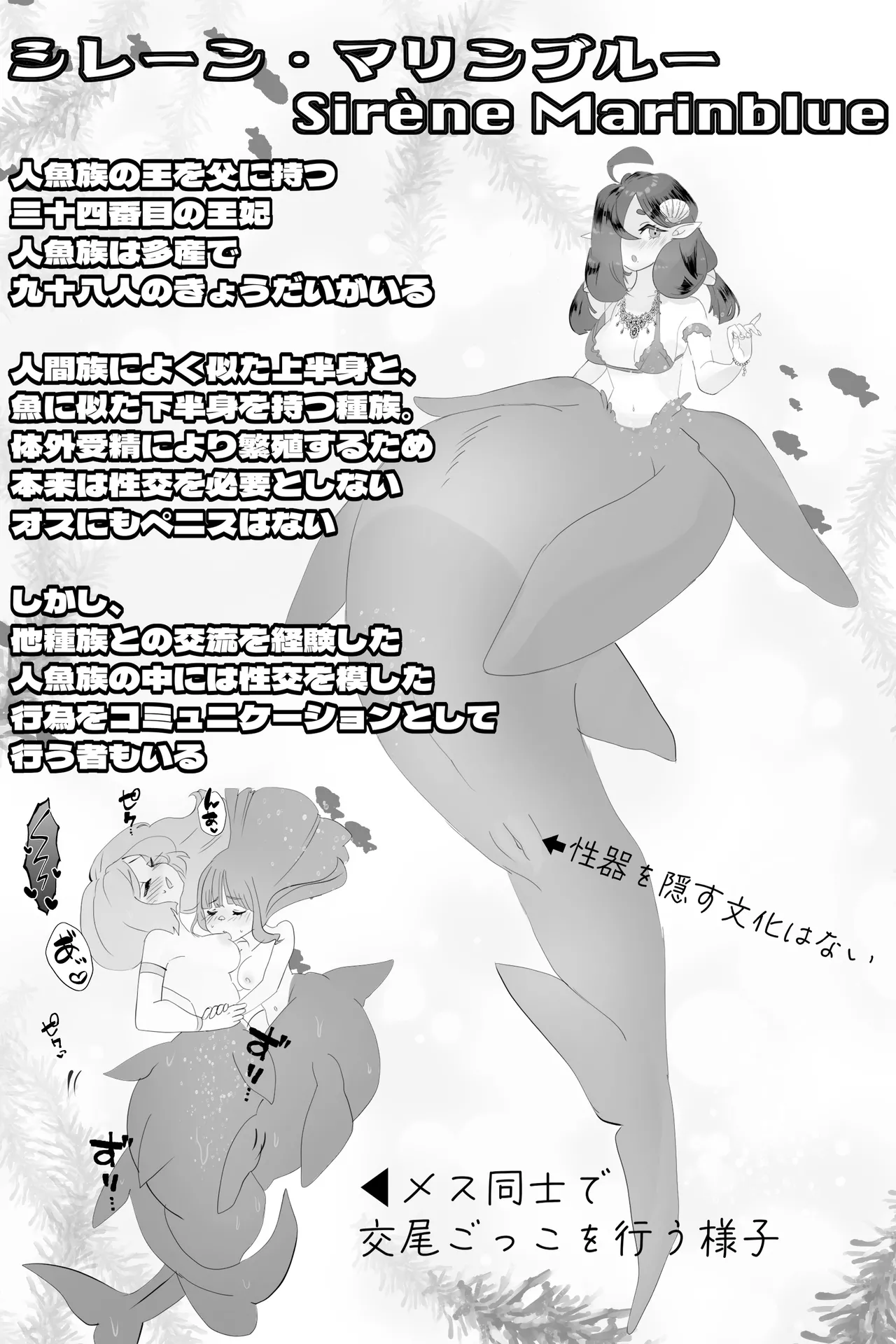 異世界憑依紀行ー有翼人とマーメイドー Page.23
