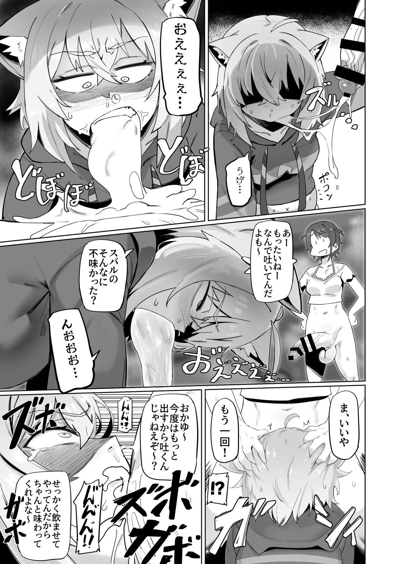SOFS Page.17