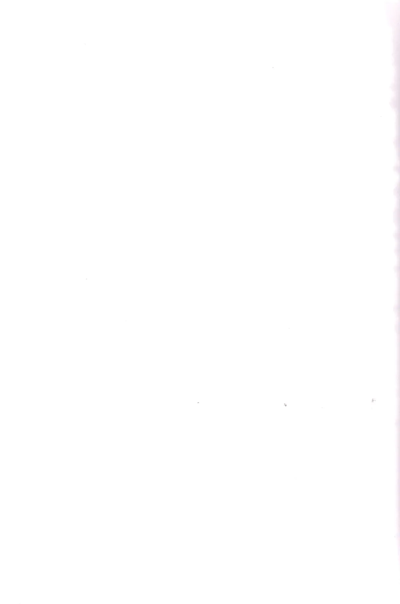 I love you the most in the world! 2 Page.45