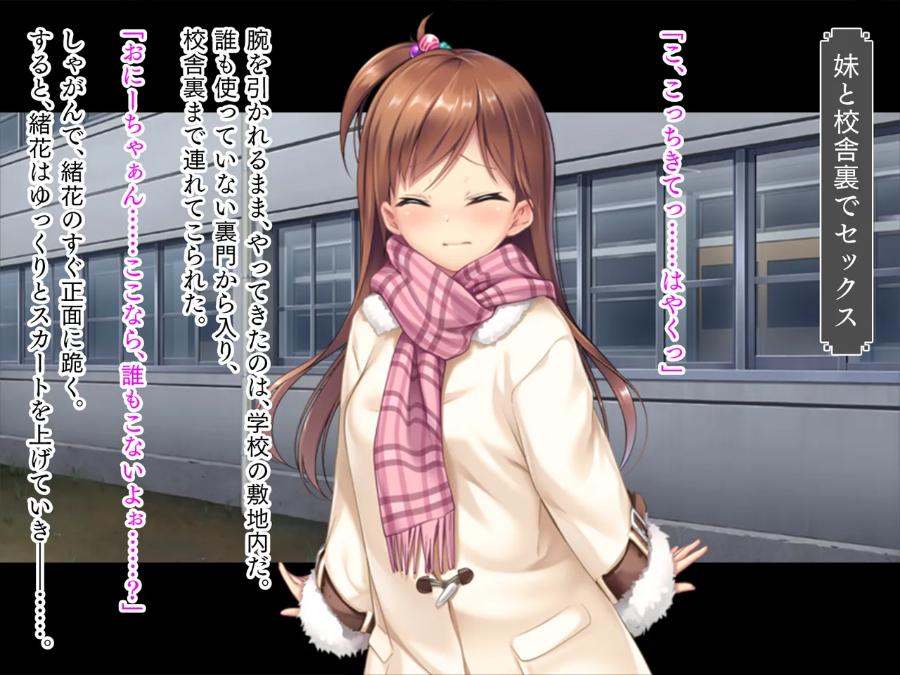 妹は小悪魔ガール「お兄ちゃんとHの特訓するぅ★」 Page.96