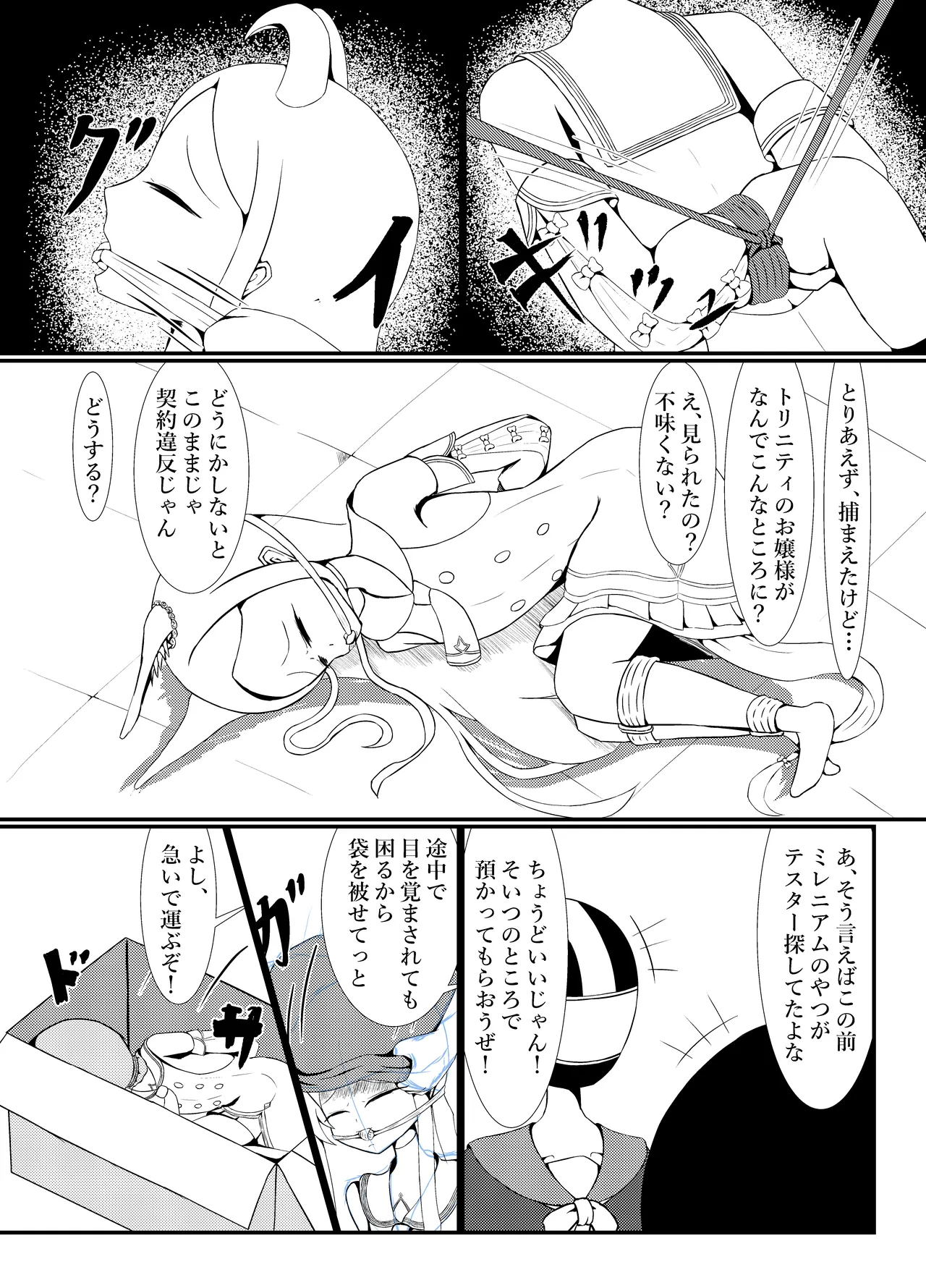 百合園セ○アは愛玩動物の夢を見るか? Page.5