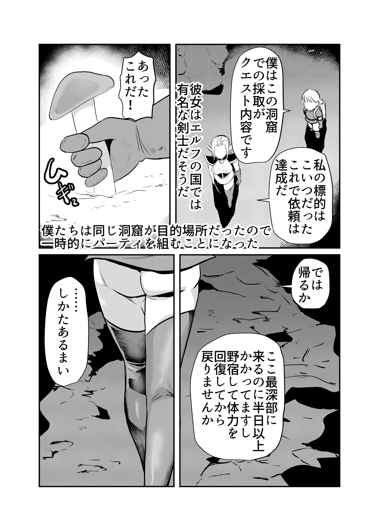 肉欲に目覚めたエルフ Page.3