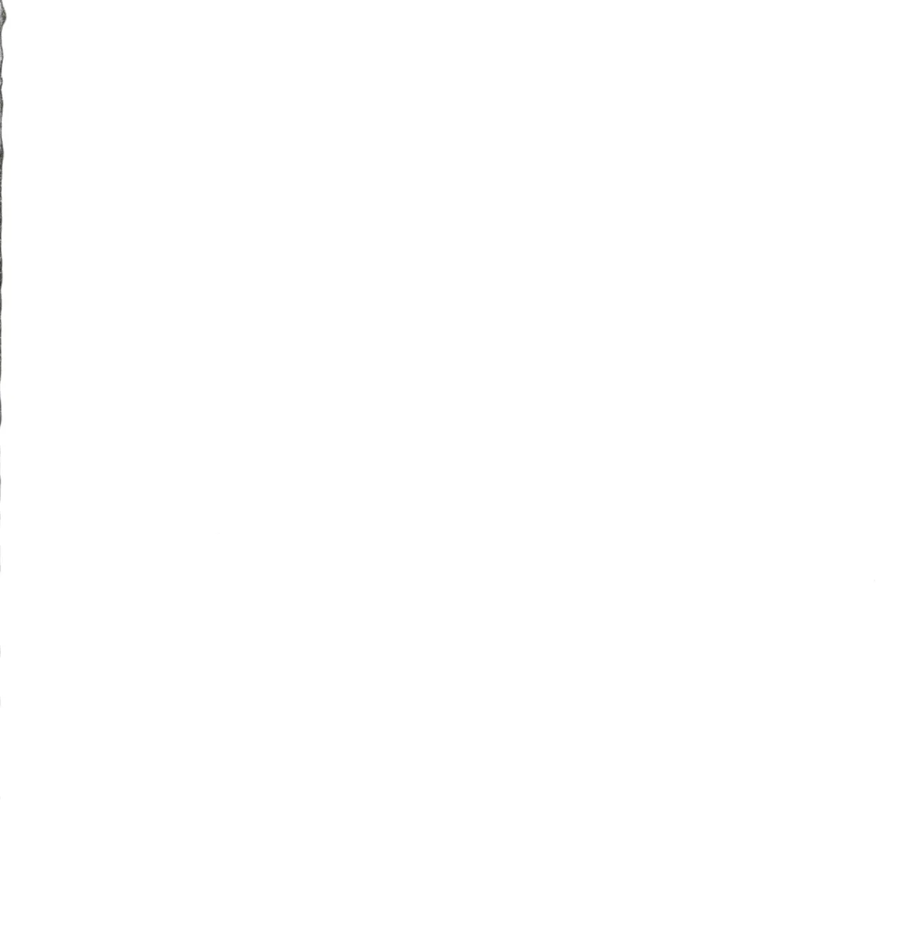 囲 参 Page.2