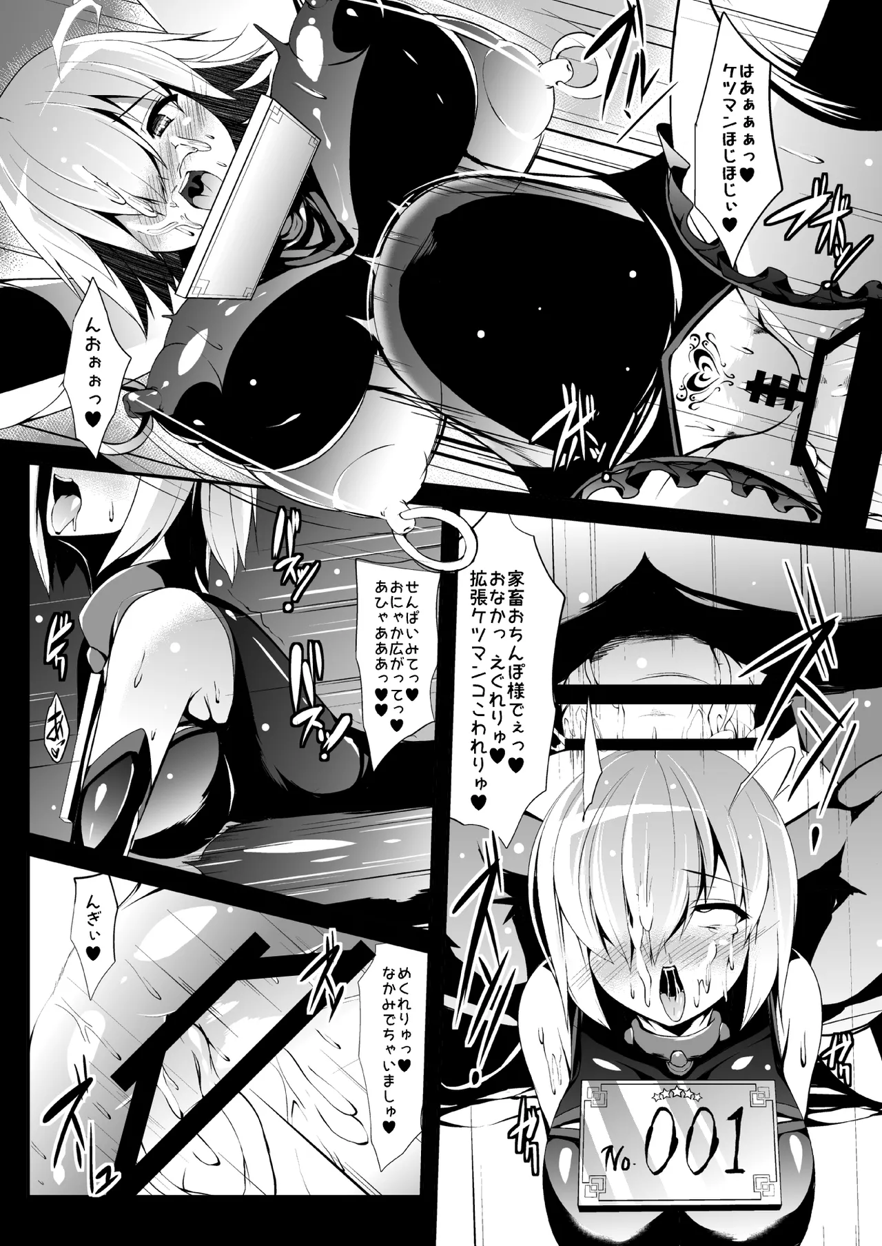 家畜調教組織CHALDEA Page.22
