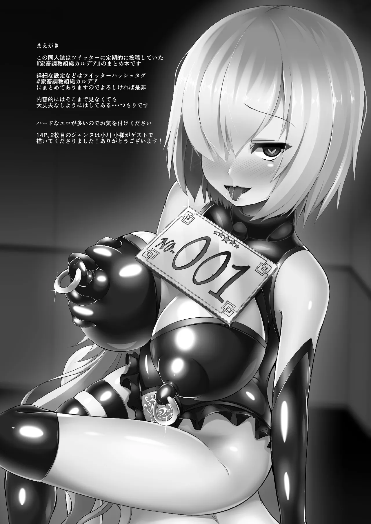 家畜調教組織CHALDEA Page.3