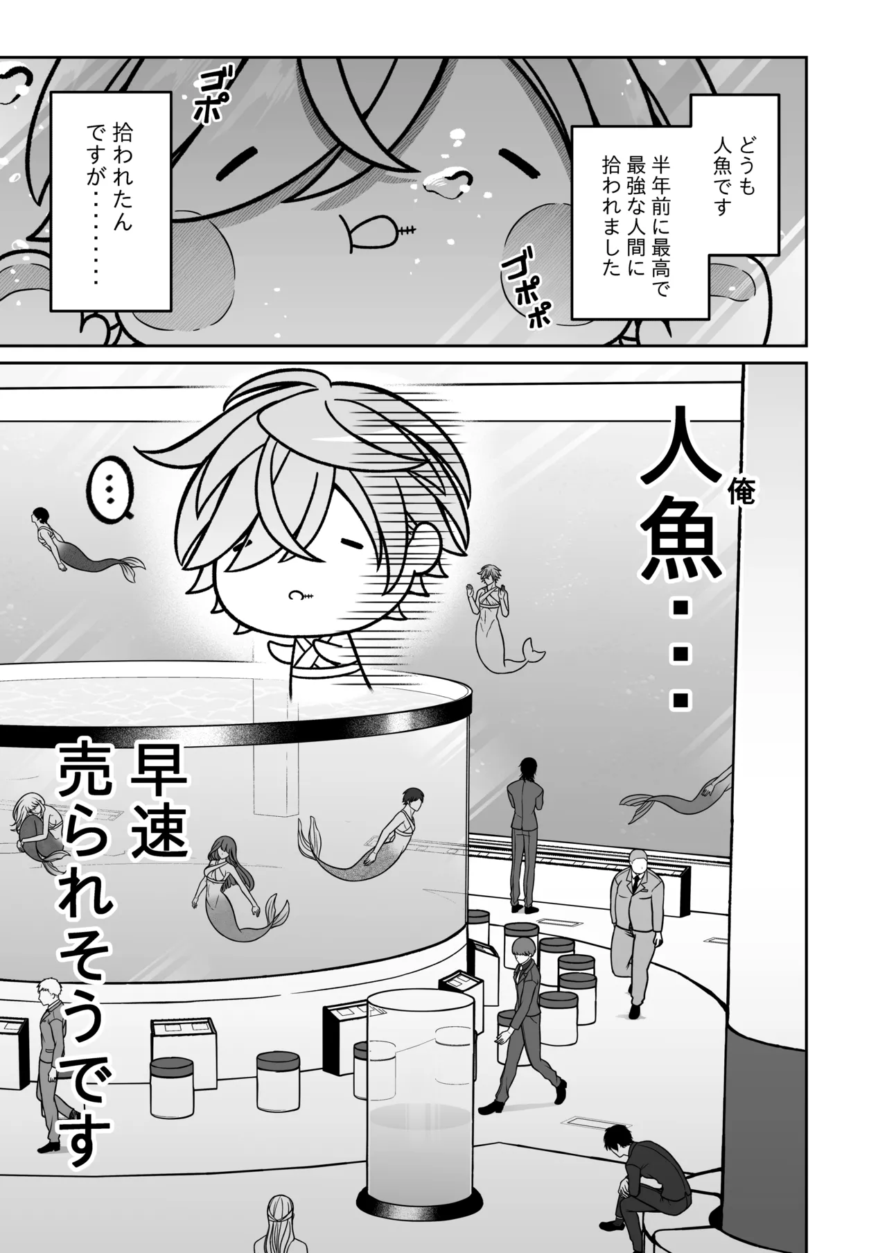 懐いた人魚と子作り交尾をする話 Page.4