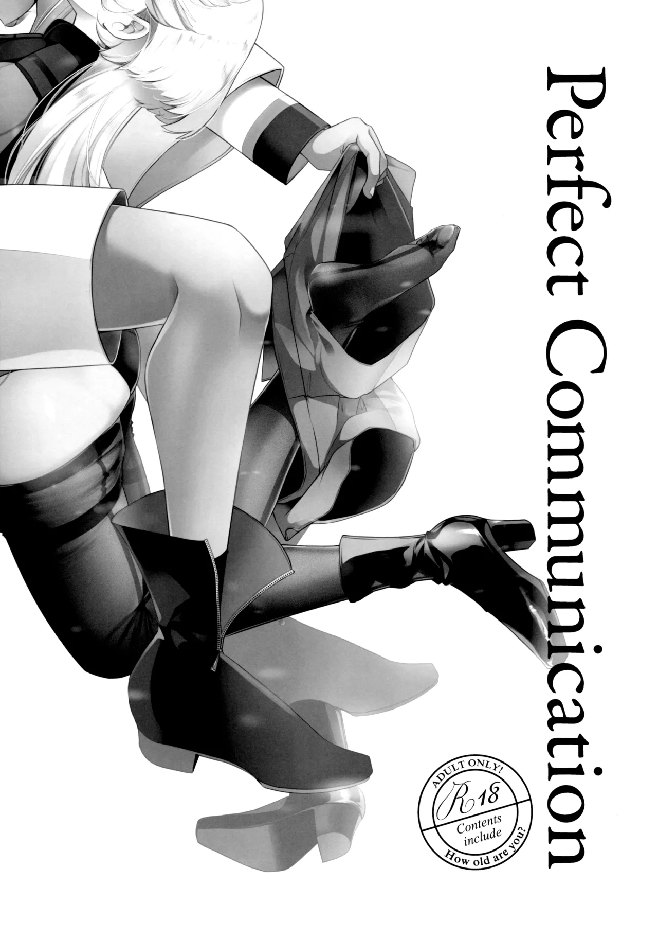 Perfect Communication Page.2