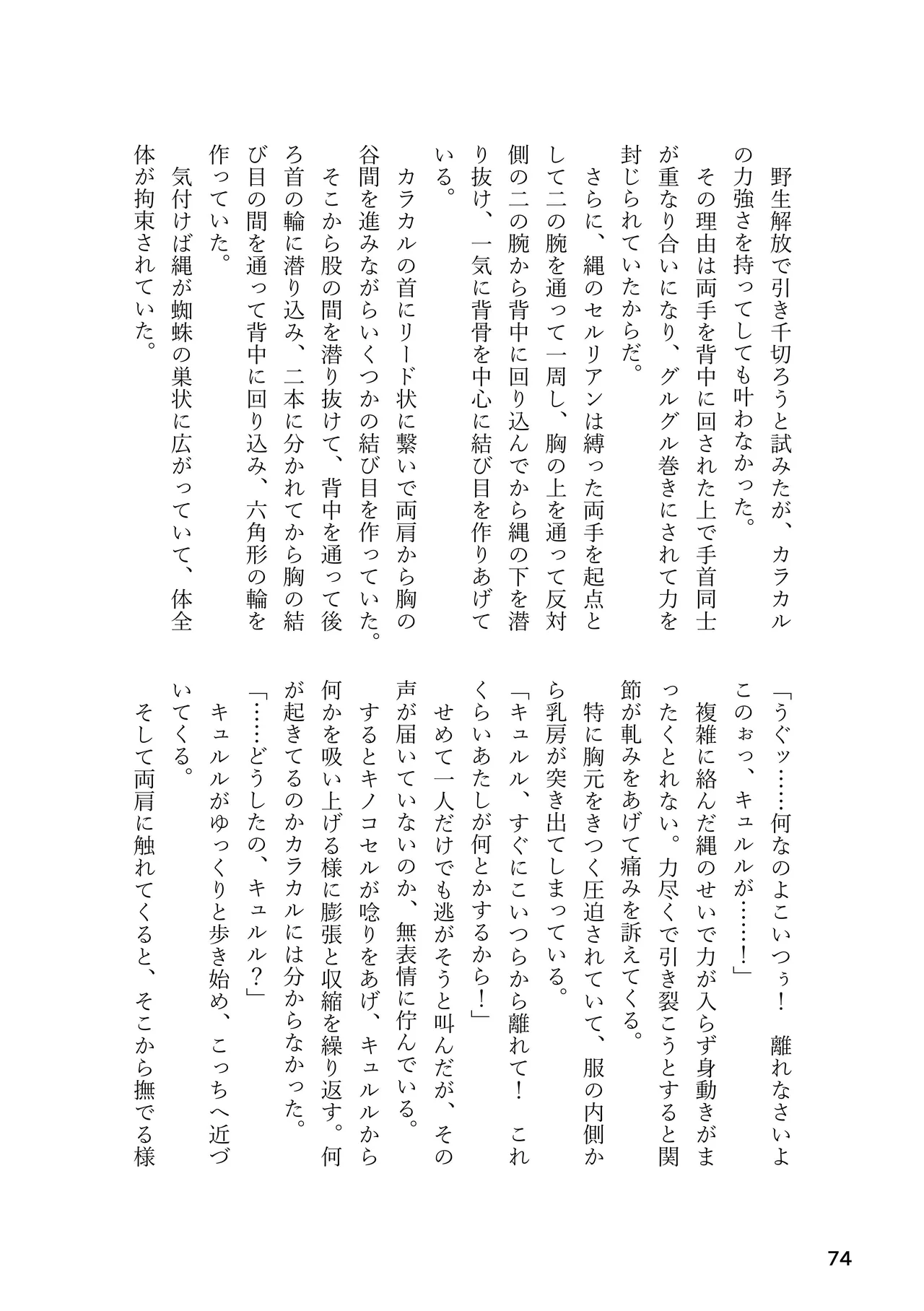 けもフレ 緊縛・拘束合同 (けものフレンズ） Page.74