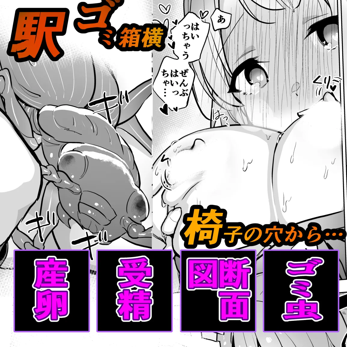 ゴミ虫