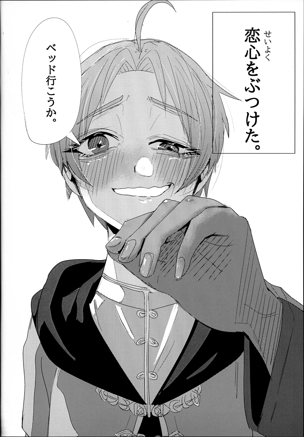 アイシエット アイシャ × シルフィエット 本 Page.14