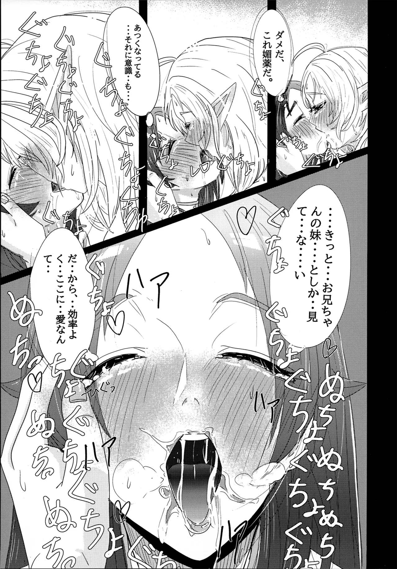 アイシエット アイシャ × シルフィエット 本 Page.27