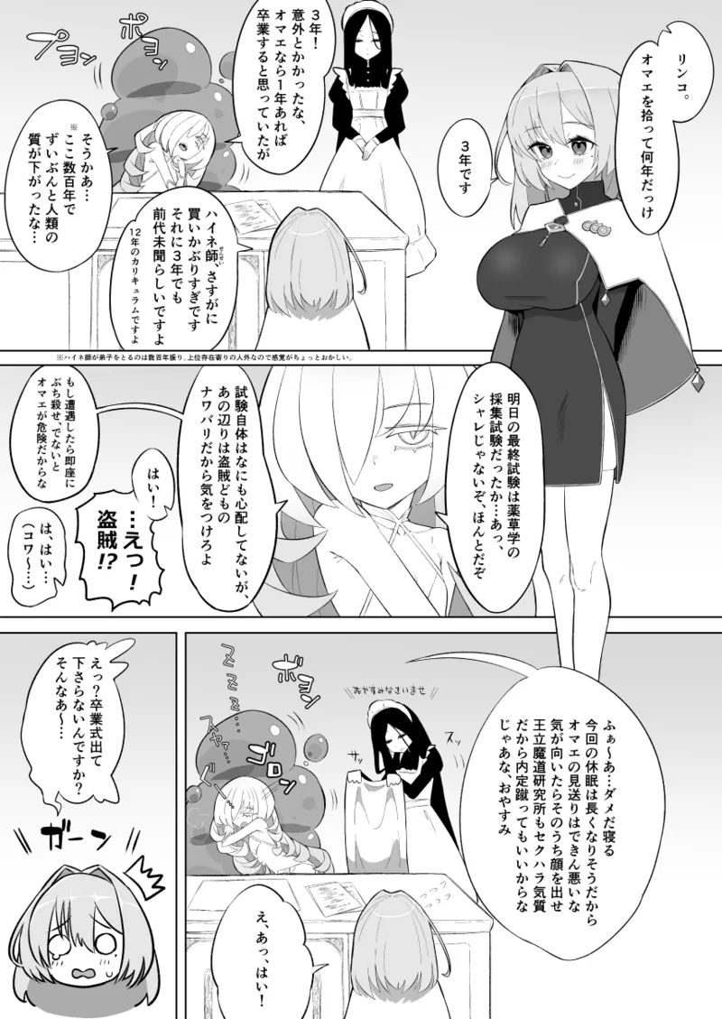 魔法学院主席リンコさんのエロ本～盗賊団の肉便器デビュー編～ Page.5