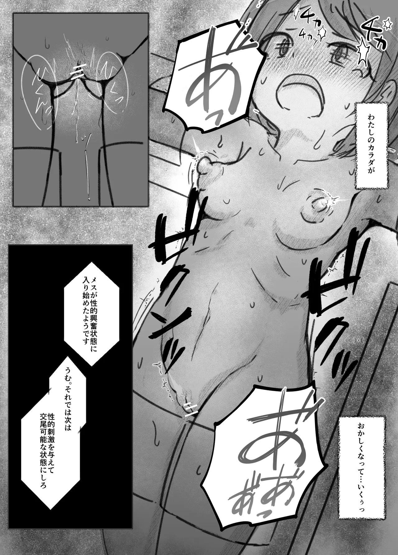 強制交尾実験 Page.11
