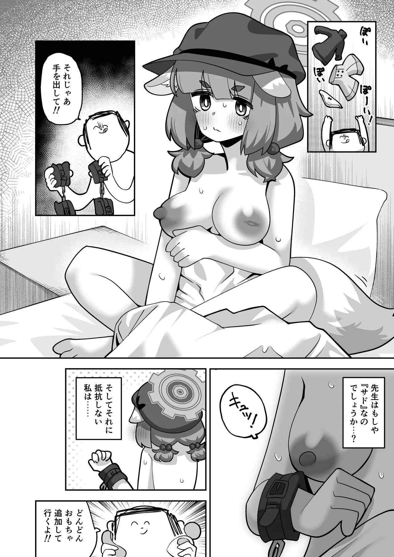 コンフィデンシャル・ビジネス・プラン Page.12