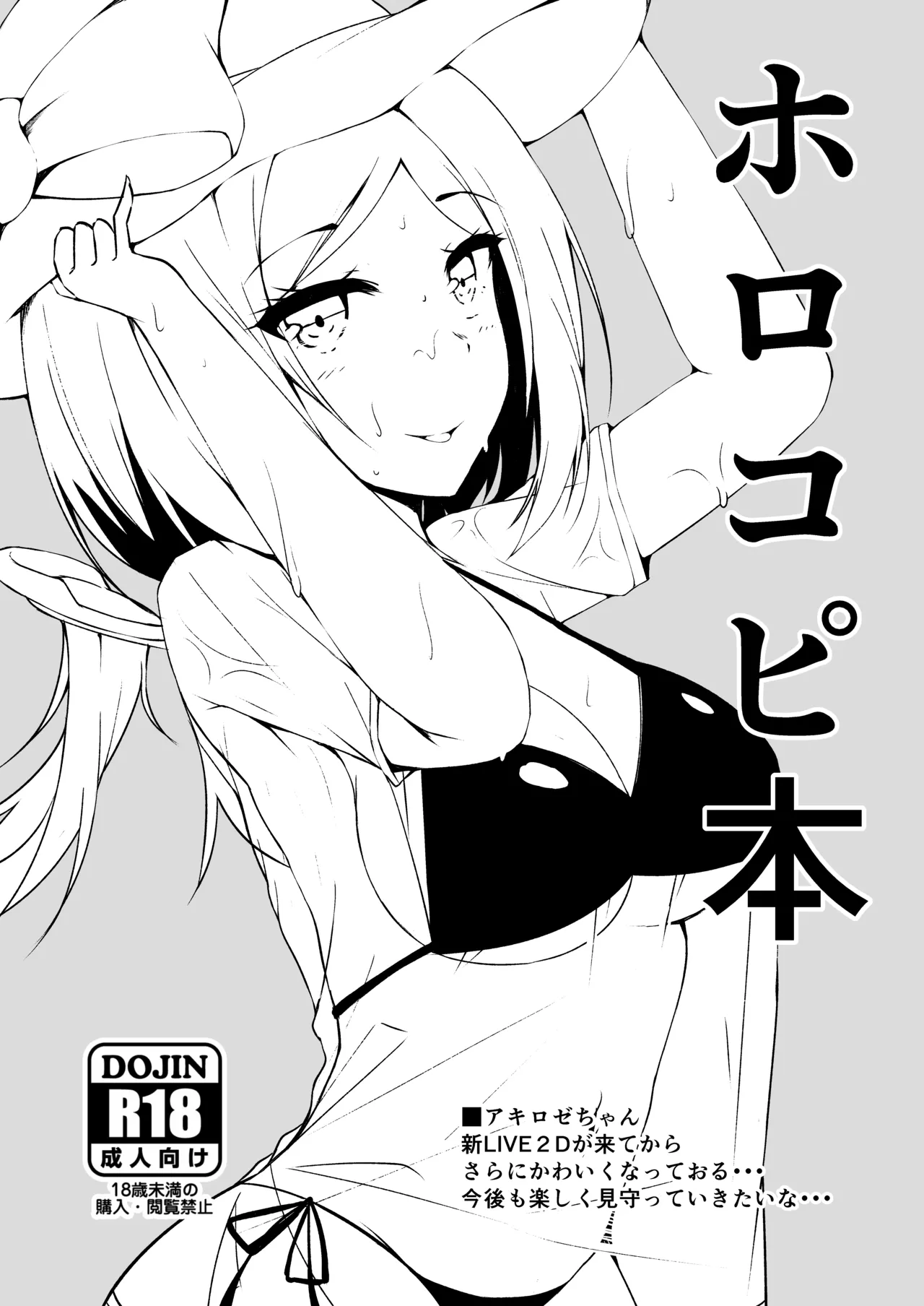 ホロコピ本