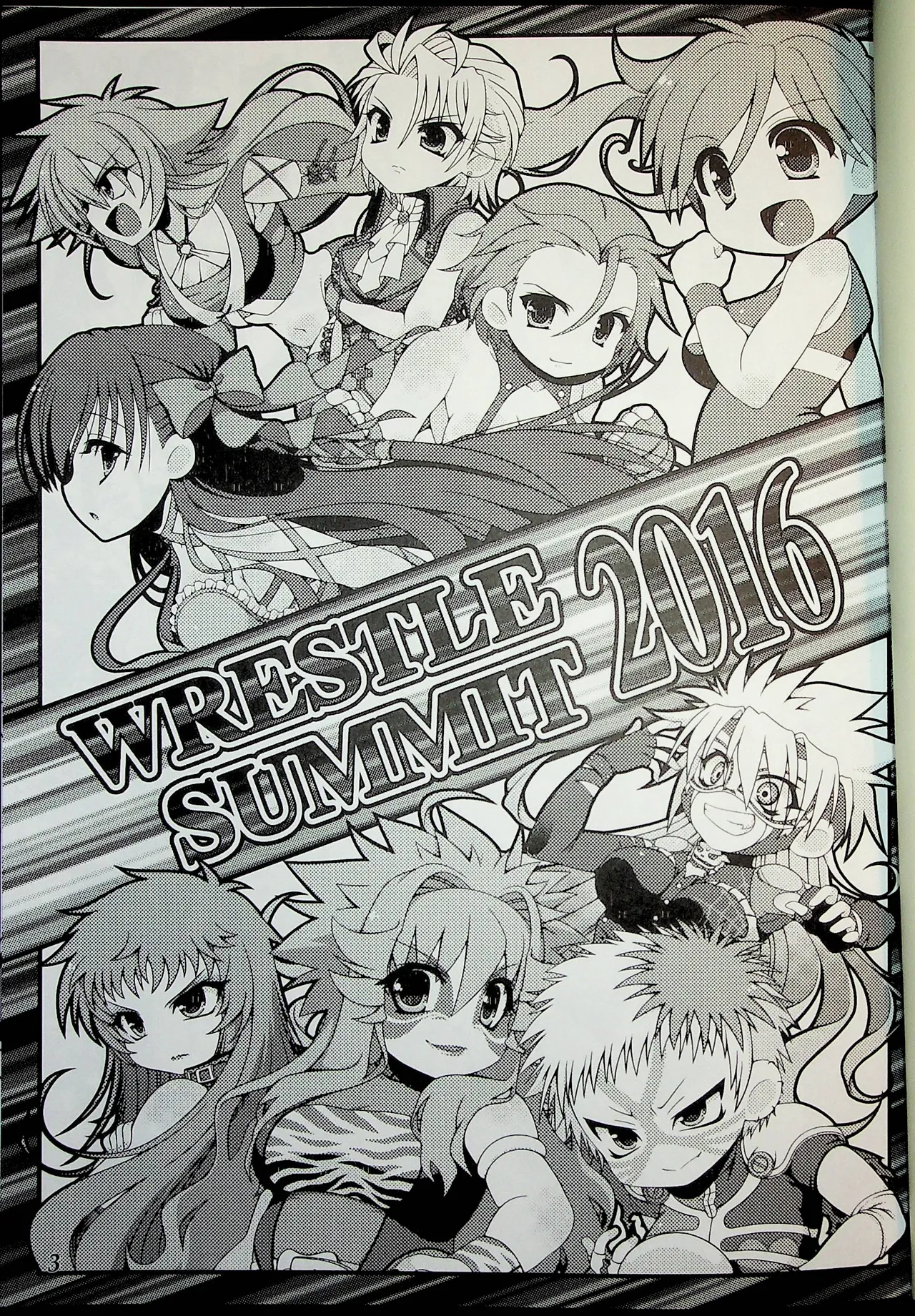 Wrestle Summit 2016 Page.2