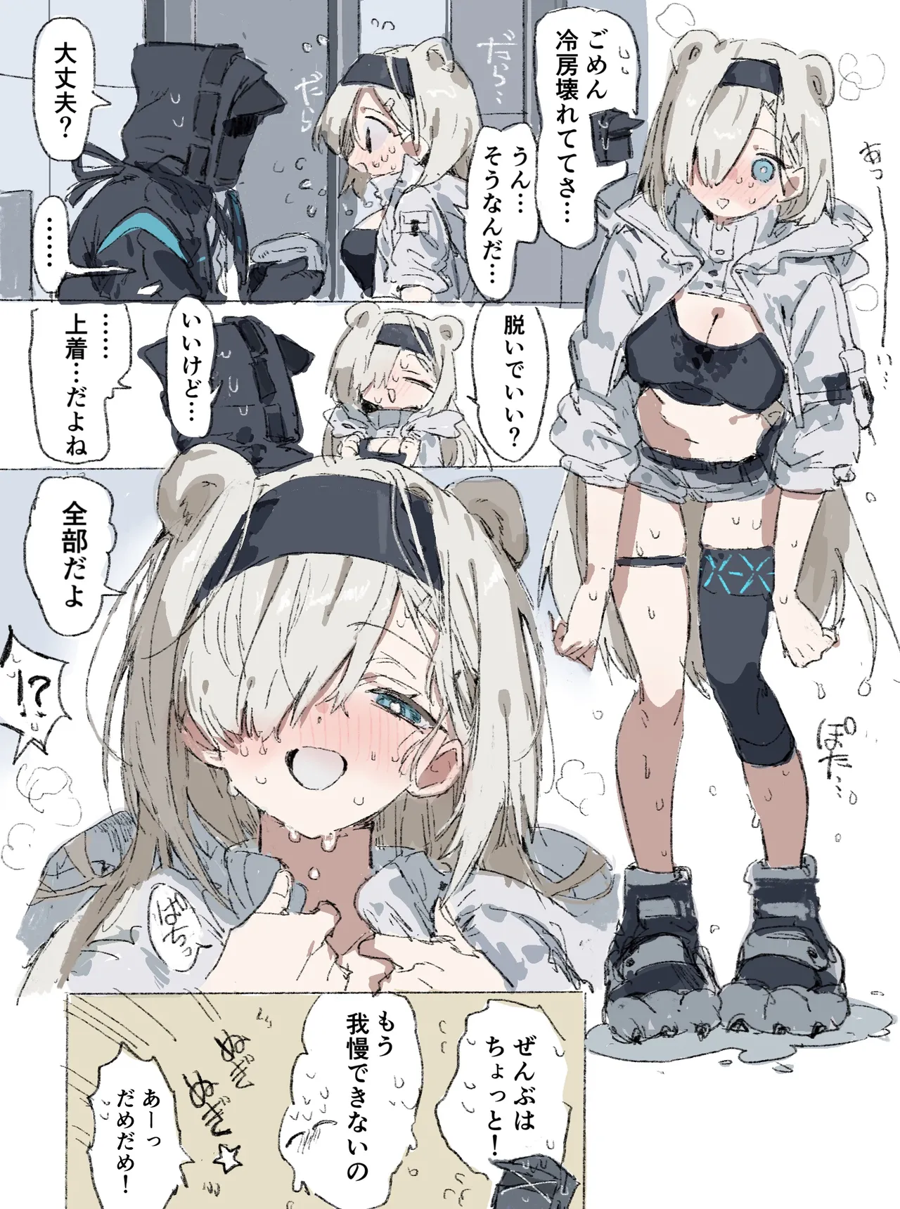 オーロラとドクター