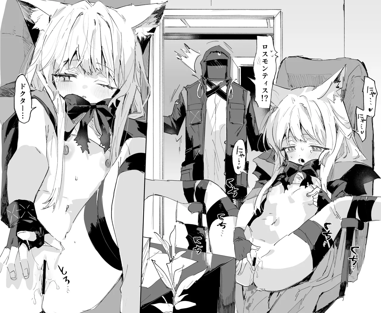 ロスモンティスとドクター 4ページ