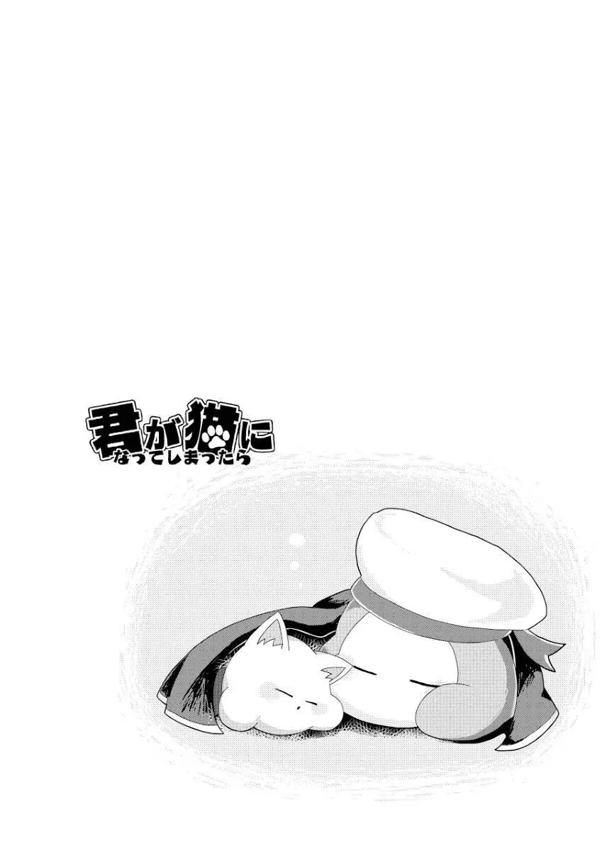 君が猫になってしまったら Page.20