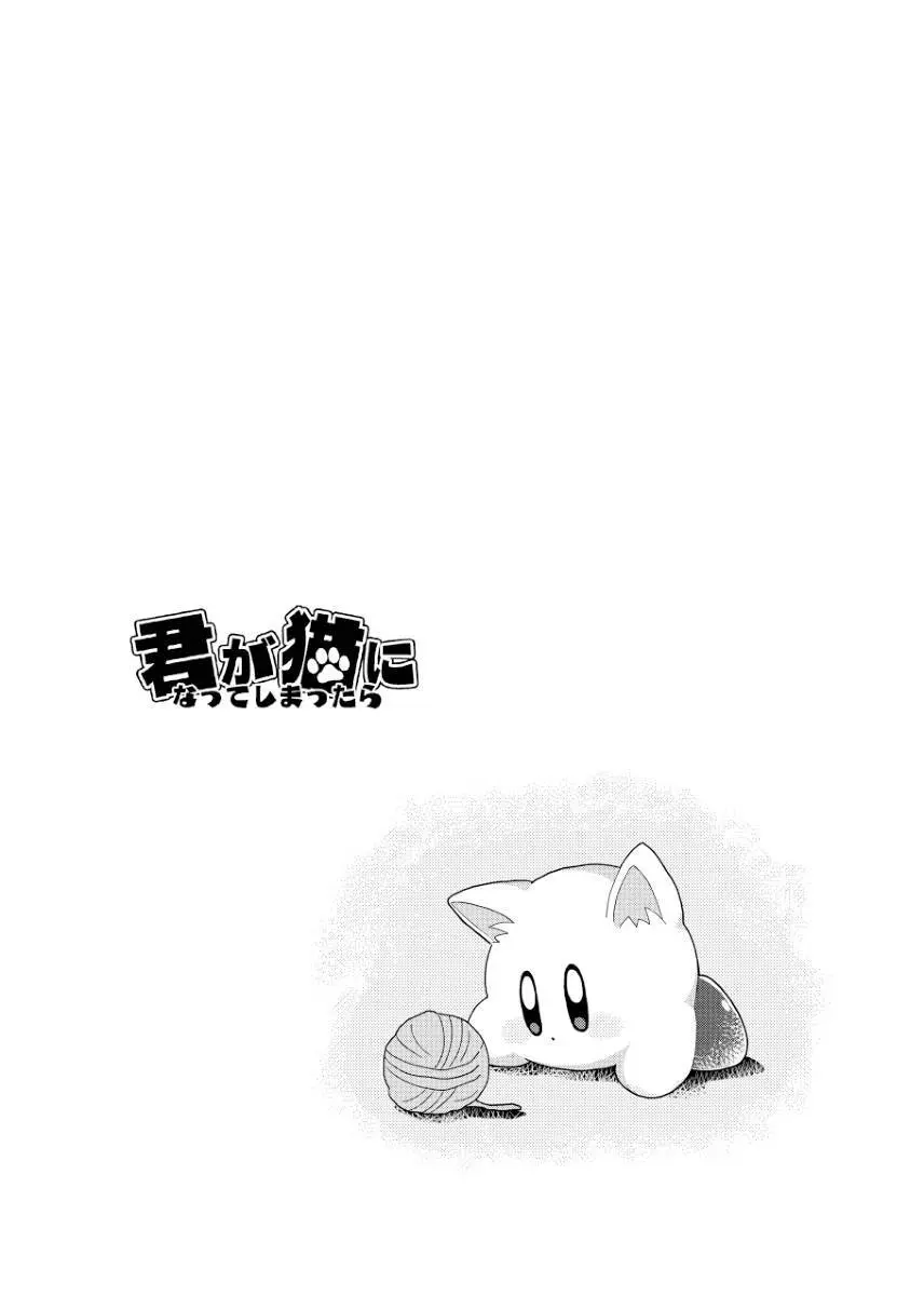 君が猫になってしまったら Page.7